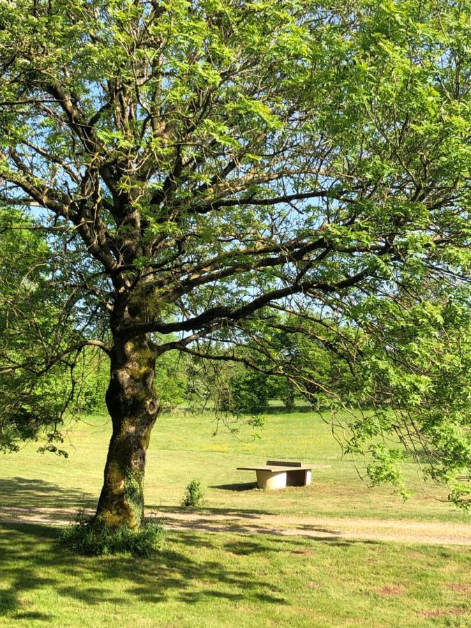 Domaine De Tapies 2 Gites Jusqu A 19 Personnes Cornus Eksteriør bilde